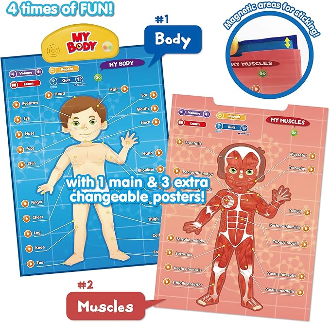 BEST LEARNING i-Poster My Body - Interactive Educational Human Anatomy Talking Game Toy | Learn Body Parts, Organs, Muscles and Bones for Kids Aged 5 to 12 Years Old