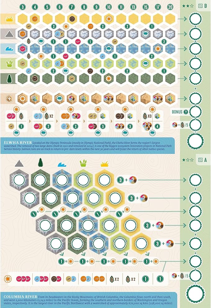 AEG & Flatout Games | Cascadia:Rolling Rivers Roll & Write Puzzly Dice Game | Explore The Pacific Northwest, Build Ecosystems | Ages 10+ | 1-4 Players