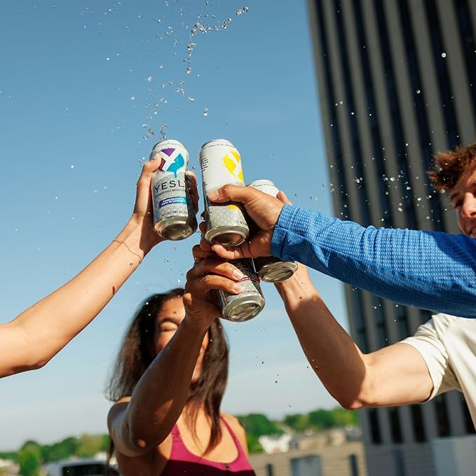 Yesly Functional Water, Variety Pack, Naturally Flavored Still Water with Electrolytes, Magnesium, Potassium, Vitamin C, B6 & B12, Zero Sugar, No Artificial Sweeteners, 16 Fl Oz Cans, 12 Pack