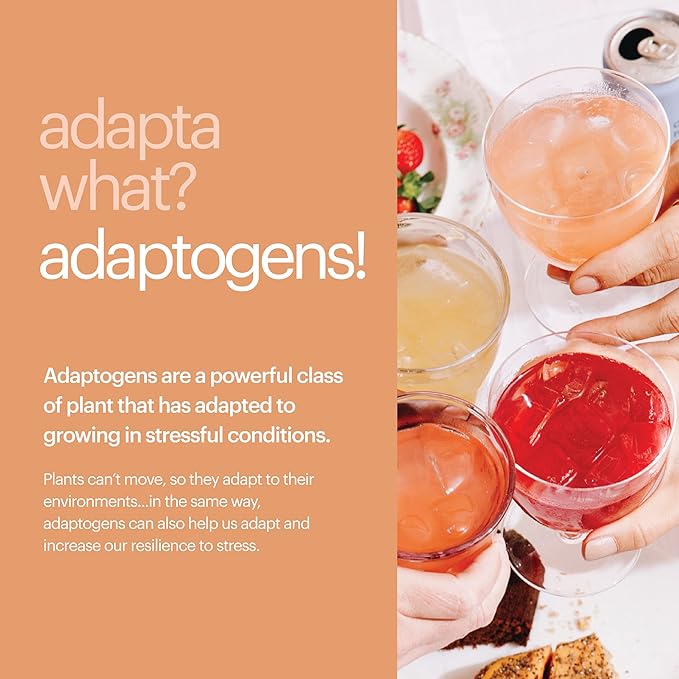 Heywell Sparkling Adaptogenic Water Energy and Focus, Strawberry Lemon Flavor 12 Fluid Ounce (Pack of 12) - Caffeinated, Organic, Non GMO, Vegan, Gluten Free, Dairy Free