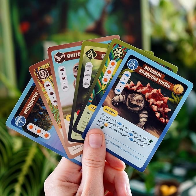 Biome Deluxe - Hand Management Board Game, Nature & Seasons, Strategy Tableau Building, Educational Game, Age 10+, 1-4 Players, 60+ Min