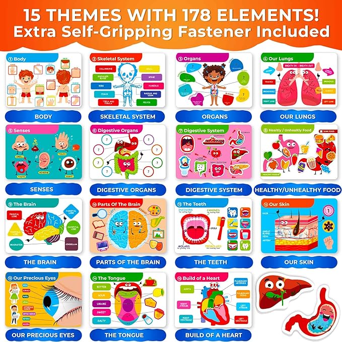 QUOKKA Human Body Busy Books for Kids Ages 4-8 - Fun Human Anatomy Activities for Kids Learning at Home or Classrooms - My Preschool Montessory Busy Book for Toddlers 3-5 I Comes Fully Assembled