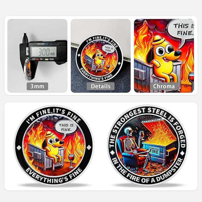 Memento Mori Coin Momento Mori Coin Skull Coin Stoic Gifts Memento Mori Calendar Living Memento Mori Amor Fati Coin (Calm in The Fire Skeleton Dog)