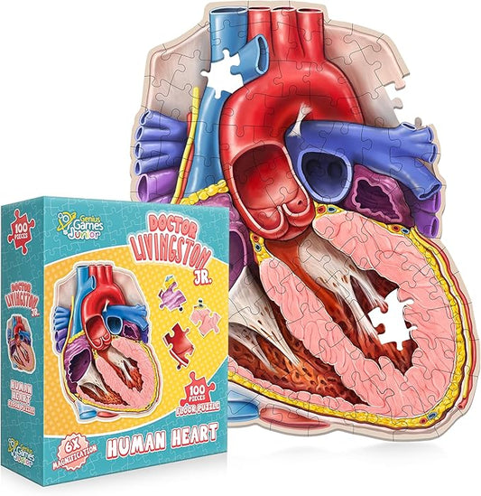 Genius Games Doctor Livingston Jr Anatomy Puzzle - Human Heart Model - 100 Piece Jigsaw for Kids & Teens