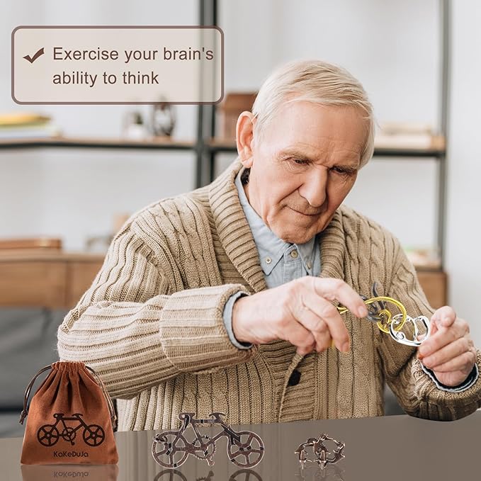 12 PCS Brain Teaser Puzzles Metal Puzzle Logic Metal Puzzle for Adult Lock Puzzles Gift for Adults Teenagers Kids