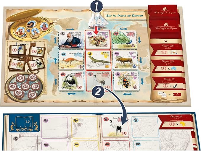 in The Footsteps of Darwin | Mensa Select Winner | Tile Laying Board Game | Ages 8+ | 2 to 5 Players | 30 Minutes