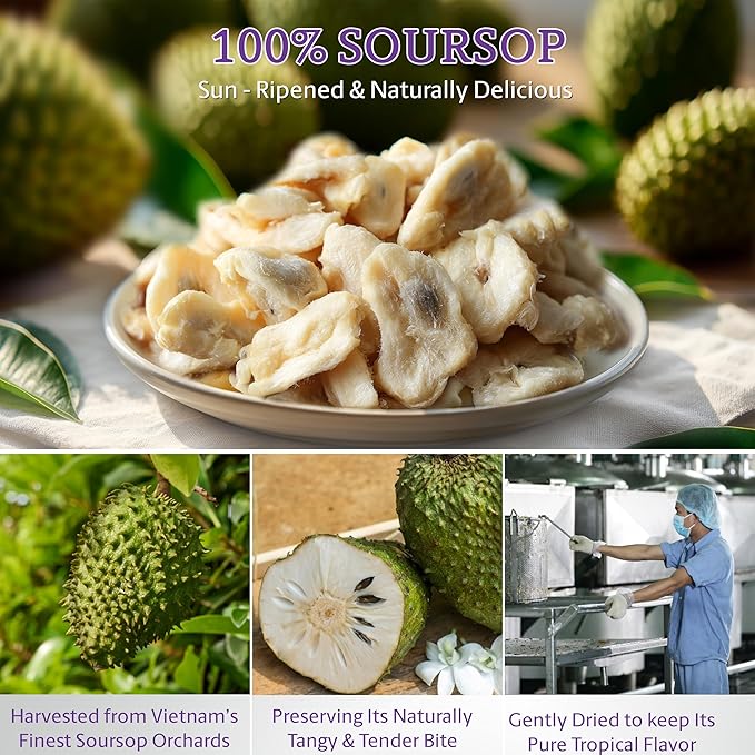 Vinamit Soft Dried Soursop | Soft Dried Fruit, 3.5 oz | Natural Tropical Fruit Snack | Vegan, Gluten-Free, Non-GMO | High in Fiber, Ideal for Travel & Clean Eating