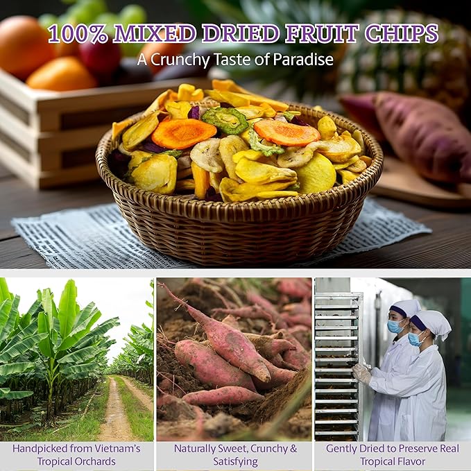 Vinamit Dried Mix Fruit Chips | 8.8 oz Bag | No Sugar Added | Tropical Fruit Blend | No-GMO, Gluten-Free & Vegan | High in Fiber & Antioxidants | Ideal for Healthy Snacking