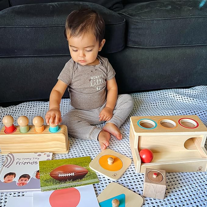 Montessori Toy Set 11-12 Months Baby Toys- 1 Year Birthday Gift, Push Ball, Shape Puzzle, Popup Toy, Pincer Grasp, Diversity Board Book, Picture Cards, Brain Development Toddler Toy