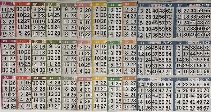 The Ticket Gurus Bingo Paper Game Cards - 6 Cards - 10 Sheets - 100 Books