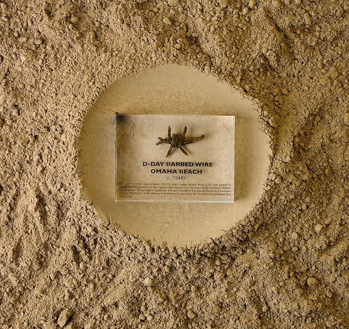 World War II Barbed Wire Artifact Display – Authentic Historical Collectible Memorabilia, WWII Relic, Ideal for Military History Enthusiasts, Vintage Era Display