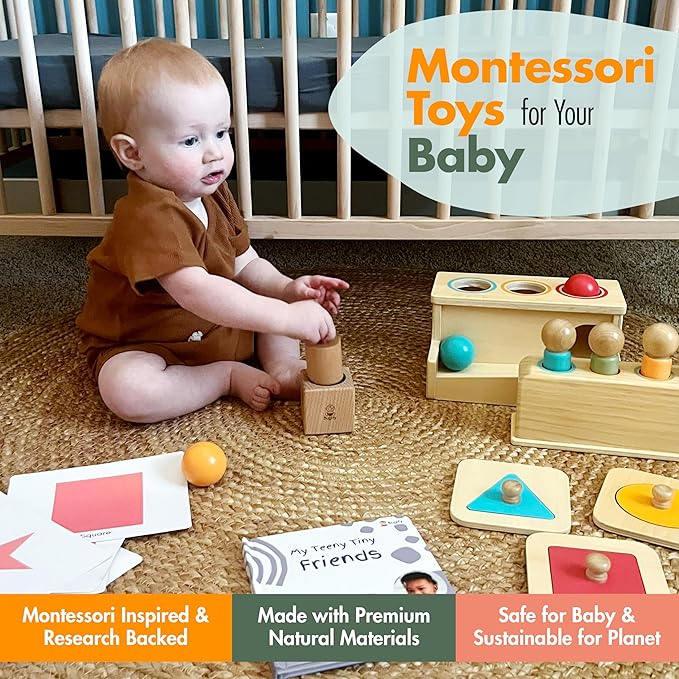 Montessori Toy Set 11-12 Months Baby Toys- 1 Year Birthday Gift, Push Ball, Shape Puzzle, Popup Toy, Pincer Grasp, Diversity Board Book, Picture Cards, Brain Development Toddler Toy